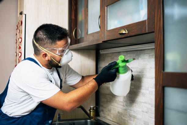 Pest Prevention Services in Canal Fulton, OH