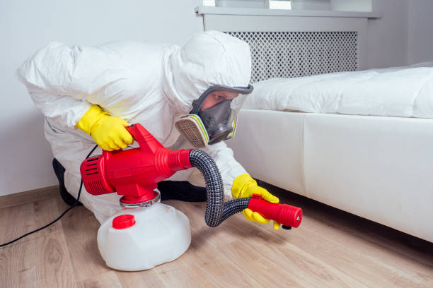 Best Pest Control Near Me in Canal Fulton, OH