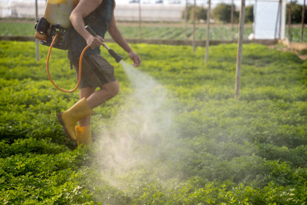 Best Mosquito Control Services  in Canal Fulton, OH