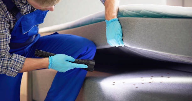 Best Commercial Pest Control Services  in Canal Fulton, OH