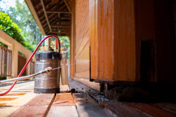 Best Termite Control Services  in Canal Fulton, OH
